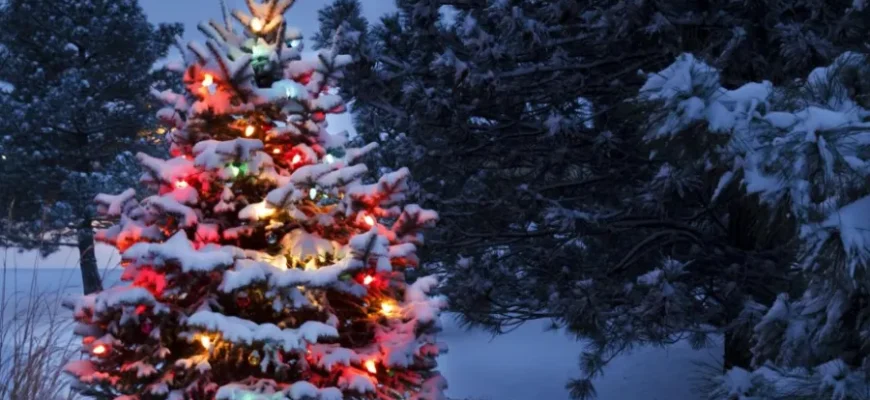 Сніжний Новий рік: синоптики пообіцяли українцям сильні морози Сніжний Новий рік: синоптики пообіцяли українцям сильні морози