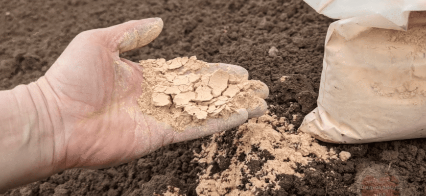 Краще за золу та компост у 10 разів: у лютому 2026 посипте грядки ось цим добривом Краще за золу та компост у 10 разів: у лютому 2026 посипте грядки ось цим добривом