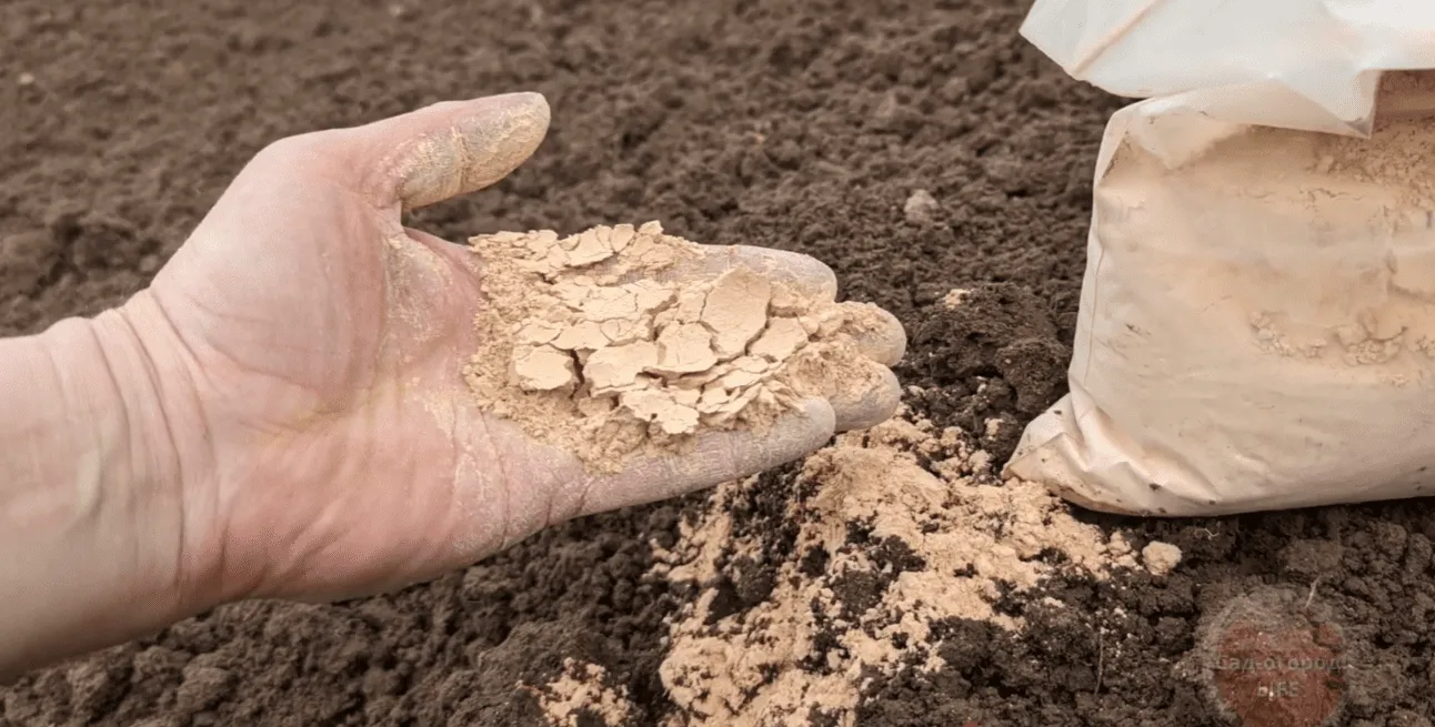Городники назвали недороге добриво для відновлення ґрунту
