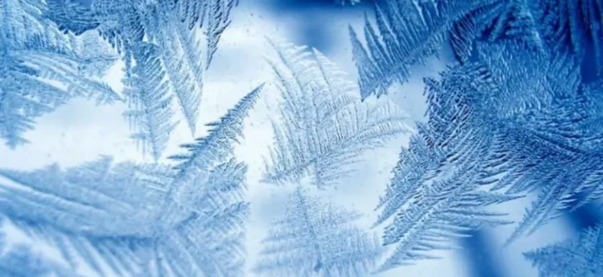 Синоптики попередили про снігопади та морози до -16 градусів на новорічні свята Синоптики попередили про снігопади та морози до -16 градусів на новорічні свята