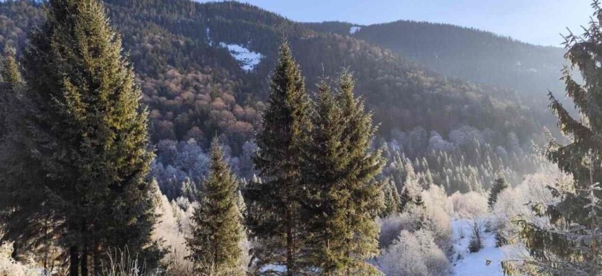 Над Україною навис антициклон: Якими будуть вихідні Над Україною навис антициклон: Якими будуть вихідні