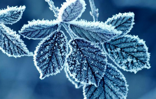 В Україні стане відчутно прохолодніше: синоптикиня назвала точну дату В Україні стане відчутно прохолодніше: синоптикиня назвала точну дату