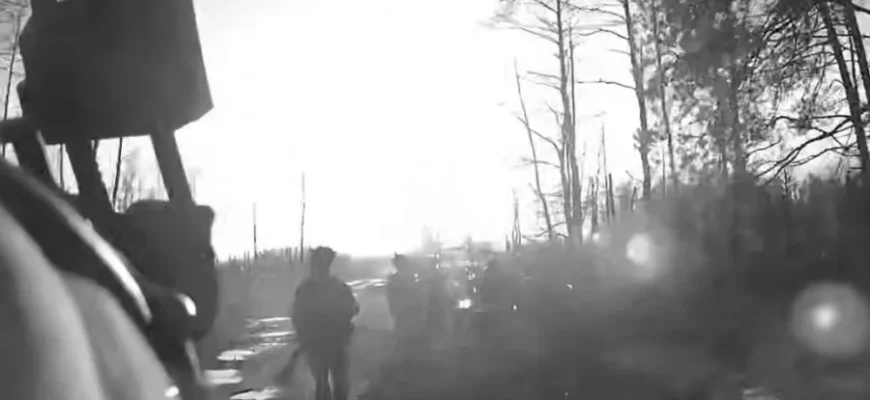 Засідка ССО: знищено групу росіян, що лізла в тил. ВІДЕО Засідка ССО: знищено групу росіян, що лізла в тил. ВІДЕО