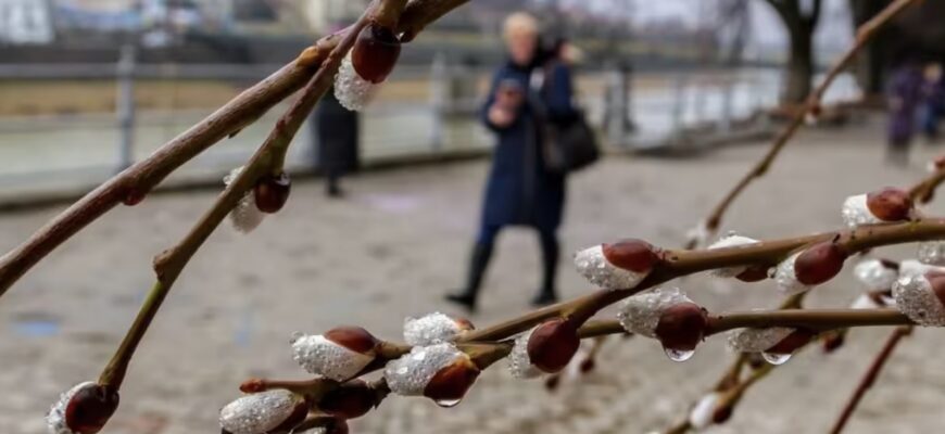 Снігу не видно, а проблеми вже близько: Чому загрожує аномальна зима Снігу не видно, а проблеми вже близько: Чому загрожує аномальна зима