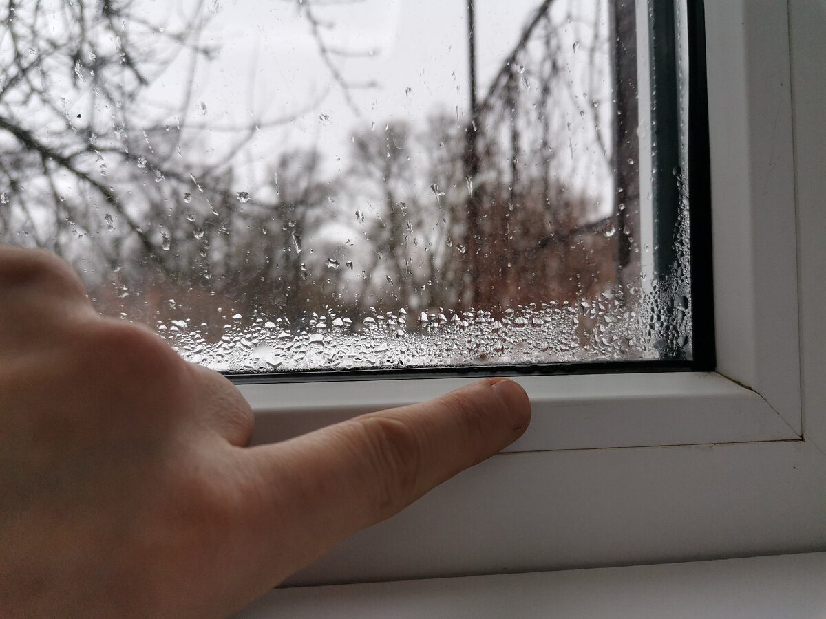Господині розповіли, як попередити появу плісняви на вікнах та укосах