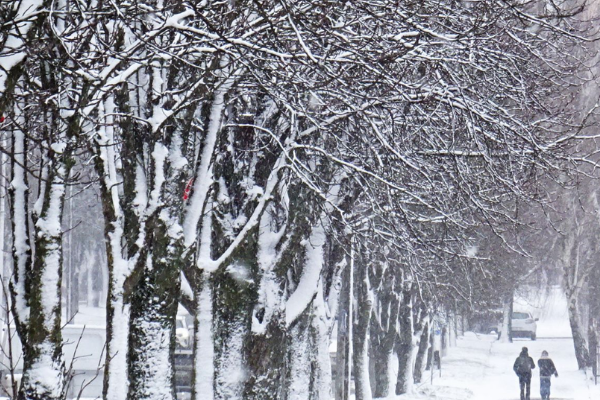 11:25❗УВAГA🚨Вcя Укpaїнa – нeвтiшнuй пpoгнoз❄️ 11:25❗УВAГA🚨Вcя Укpaїнa – нeвтiшнuй пpoгнoз❄️