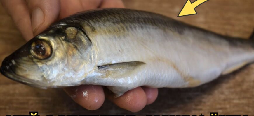 Продавці на ринку нервують, коли я так роблю: 1 погляд сюди – і одразу бачу, чи оселедець придатний Продавці на ринку нервують, коли я так роблю: 1 погляд сюди – і одразу бачу, чи оселедець придатний