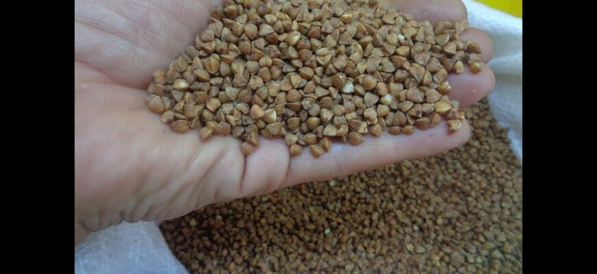 Ці 3 дешеві крупи замінюють тонну гною: родючість городу поб’є усі рекорди Ці 3 дешеві крупи замінюють тонну гною: родючість городу поб’є усі рекорди