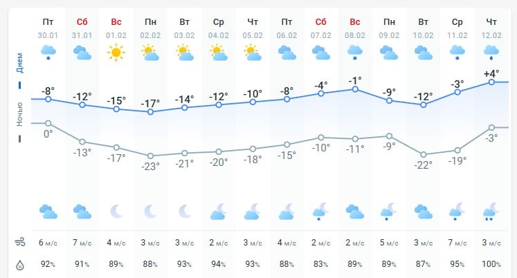 погода 31 января
