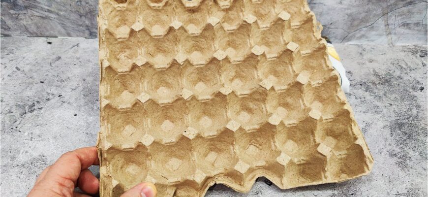 Вживані лотки від яєць спускаю в льох – і всю зиму радію ефекту: не для зберігання врожаю. Трюк на 10 з 10 Вживані лотки від яєць спускаю в льох – і всю зиму радію ефекту: не для зберігання врожаю. Трюк на 10 з 10