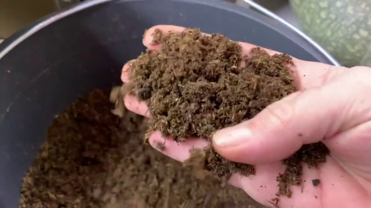 Городники розповідь про зимове добриво для ґрунту