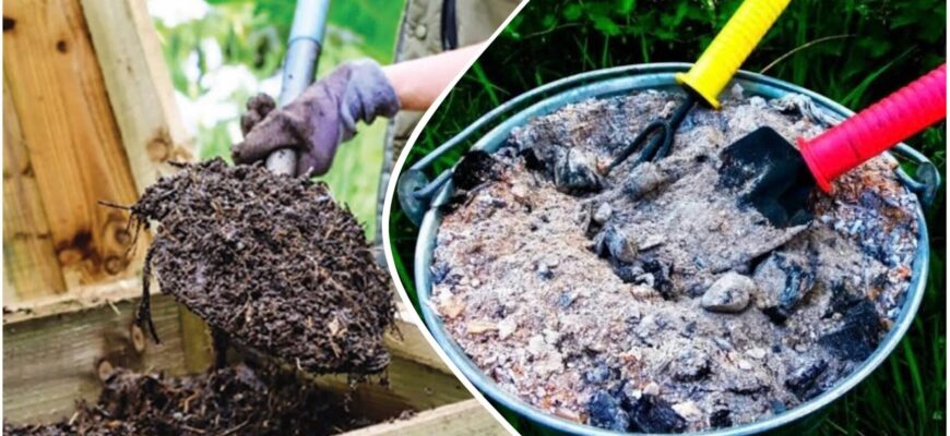 Підслухала у черзі пункту обігріву, навіщо додавати деревну золу в компост: результат на 10 з 10 Підслухала у черзі пункту обігріву, навіщо додавати деревну золу в компост: результат на 10 з 10