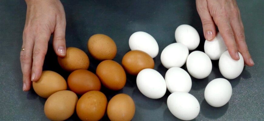 Яйця не смажу і не варю: розбиваю 2 у мисочку – і готую незвичайним способом, як радила кума Яйця не смажу і не варю: розбиваю 2 у мисочку – і готую незвичайним способом, як радила кума