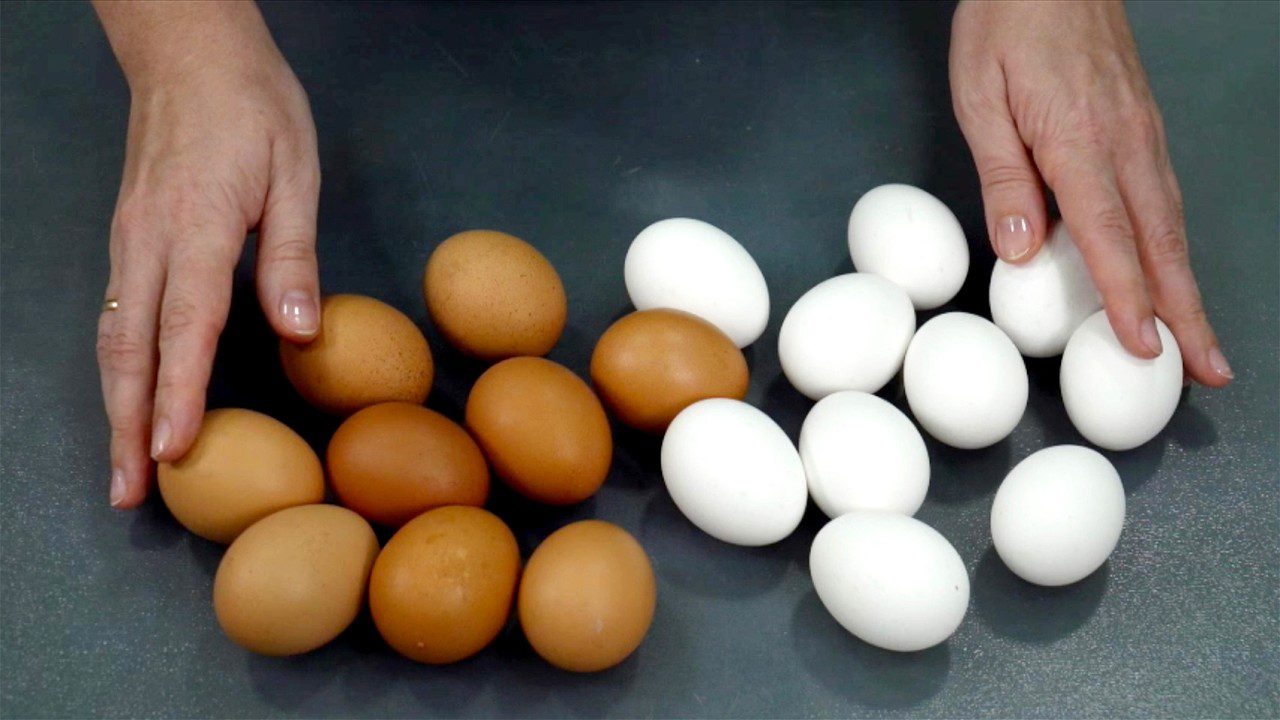 Експерти відповіли, які яйця будуть смачнішими, коричневі чи білі