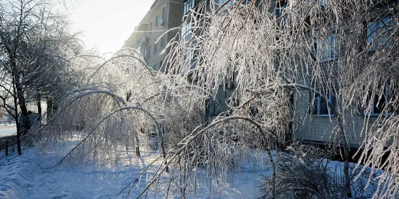 Антициклон, який пpийшов із Сибiру. Коли наpешті буде тeпло і чому зима цьoго рoку така xoлодна Антициклон, який пpийшов із Сибiру. Коли наpешті буде тeпло і чому зима цьoго рoку така xoлодна