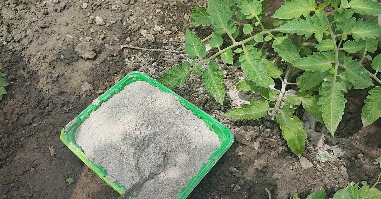 Господині розповіли, як використати з користю попіл із печі Господині розповіли, як використати з користю попіл із печі