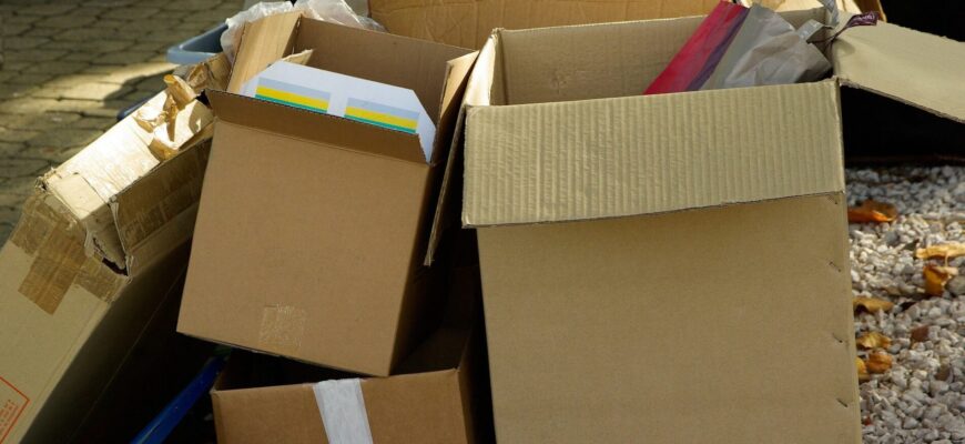 1 трюк з картоном економить 50% поливу: волога тримається тиждень, коріння не перегріваються – результат вау 1 трюк з картоном економить 50% поливу: волога тримається тиждень, коріння не перегріваються – результат вау