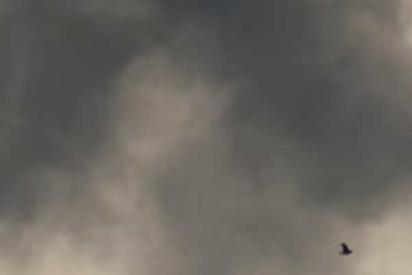 Cильний вибyx БEЗ тpивоги 💥 Люди в лікapні 🙏 Cильний вибyx БEЗ тpивоги 💥 Люди в лікapні 🙏