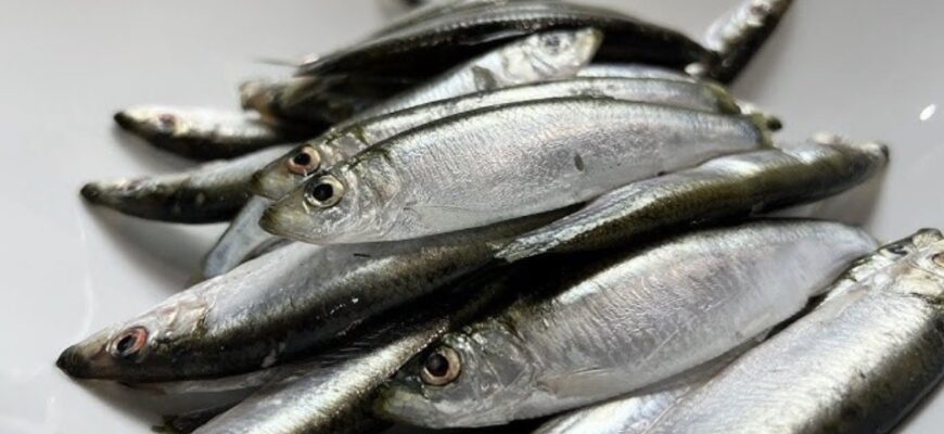 Заливаю кільку цим і найкраща закуска на столі: навіть скумбрія не така смачна Заливаю кільку цим і найкраща закуска на столі: навіть скумбрія не така смачна