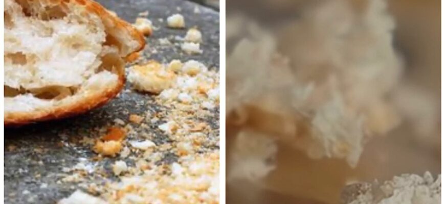 Чому бабуся забороняла змітати крихти зі столу рукою: давня прикмета, яка насправді береже достаток в домі Чому бабуся забороняла змітати крихти зі столу рукою: давня прикмета, яка насправді береже достаток в домі