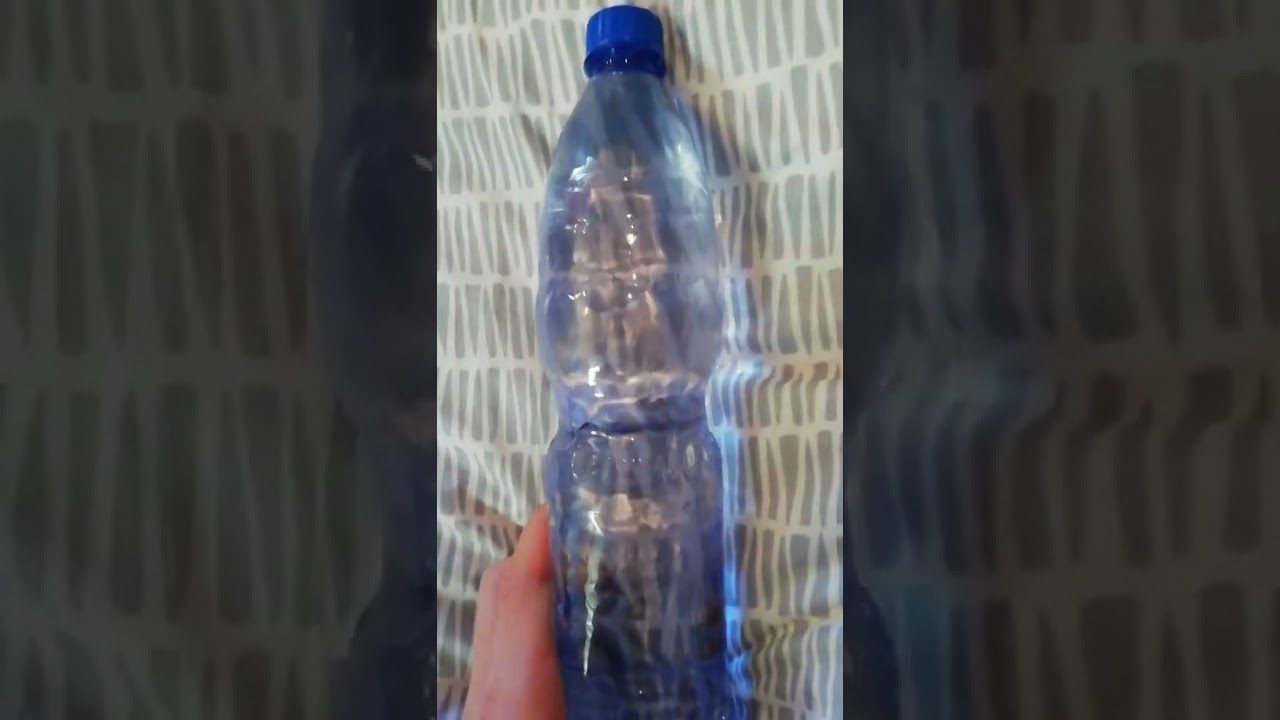 Як утеплити домашніх тварин, якщо немає світла і тепла