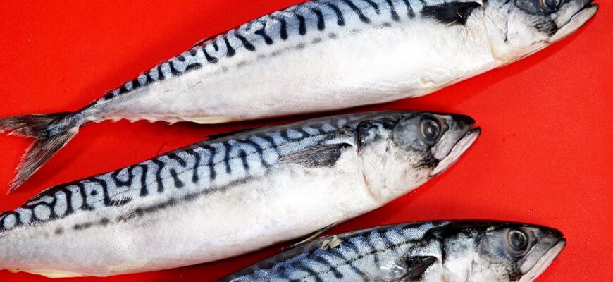 Скумбрія пряного посолу і на день народження, і на ювілей: без маринаду та всього за 2 дні Скумбрія пряного посолу і на день народження, і на ювілей: без маринаду та всього за 2 дні