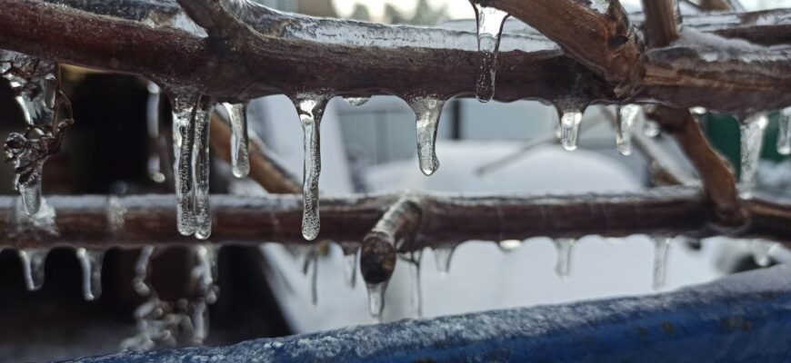 Коли потепління з плюсовою температурою в Києві Коли потепління з плюсовою температурою в Києві