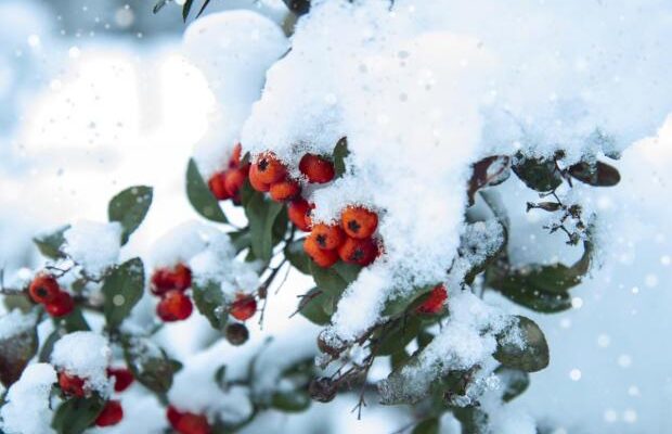 Народні прикмети на 28 січня. Забобонний “день чаклунів”. Чим українці здавна частували домовиків, аби той не шкодив Народні прикмети на 28 січня. Забобонний “день чаклунів”. Чим українці здавна частували домовиків, аби той не шкодив