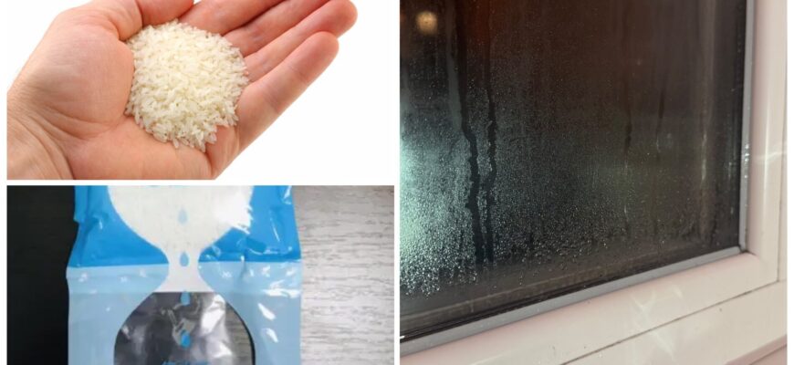 2 “нашумілі” лайфхаки не допомогли мені від конденсату на вікнах: марно витратила час і засоби — скло мокре 2 “нашумілі” лайфхаки не допомогли мені від конденсату на вікнах: марно витратила час і засоби — скло мокре