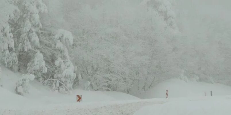Трагедія на Підкарпатті: 36-річний чоловік замерз за кілька метрів від дому, його тіло помітили через відеоспостереження з Англії Трагедія на Підкарпатті: 36-річний чоловік замерз за кілька метрів від дому, його тіло помітили через відеоспостереження з Англії