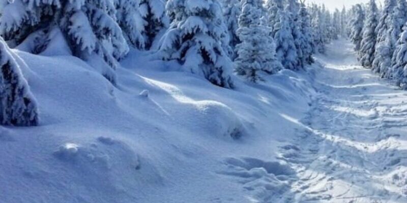 На Україну насувається найнебезпечніше похолодання: названо дати атаки морозу -20 На Україну насувається найнебезпечніше похолодання: названо дати атаки морозу -20