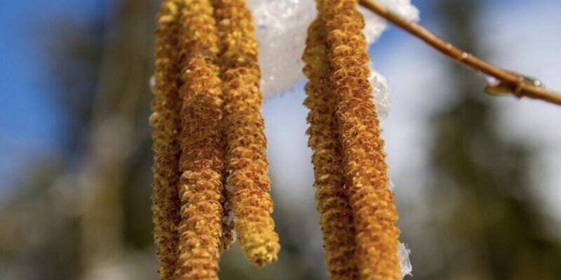 Синоптикиня назвала точну дату, коли морози в Україні перестануть “кусатися” Синоптикиня назвала точну дату, коли морози в Україні перестануть “кусатися”