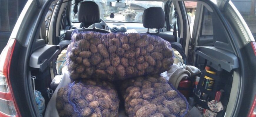 – Я тебе наскрізь бачу, хочеш витягти з моїх батьків всі гроші! Ти ніхто в нашій сім’ї! – Слова зовиці вразили в саме серце. Чоловік покинув мене, невже я не маю права спілкуватися з його батьками? Особливо, коли мені так важко! Та те, що сталося нещодавно у свекрів – остаточно зіпсувало наші стосунки. – Я тебе наскрізь бачу, хочеш витягти з моїх батьків всі гроші! Ти ніхто в нашій сім’ї! – Слова зовиці вразили в саме серце. Чоловік покинув мене, невже я не маю права спілкуватися з його батьками? Особливо, коли мені так важко! Та те, що сталося нещодавно у свекрів – остаточно зіпсувало наші стосунки.