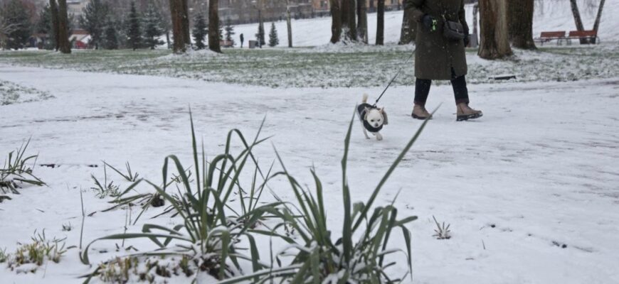 Погода різко почне змінюватись: названа дата потепління Погода різко почне змінюватись: названа дата потепління