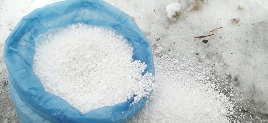 Більше не чищу сніг на ділянці, і навіть у снігопад жодних проблем – знадобиться лише 1 добриво Більше не чищу сніг на ділянці, і навіть у снігопад жодних проблем – знадобиться лише 1 добриво