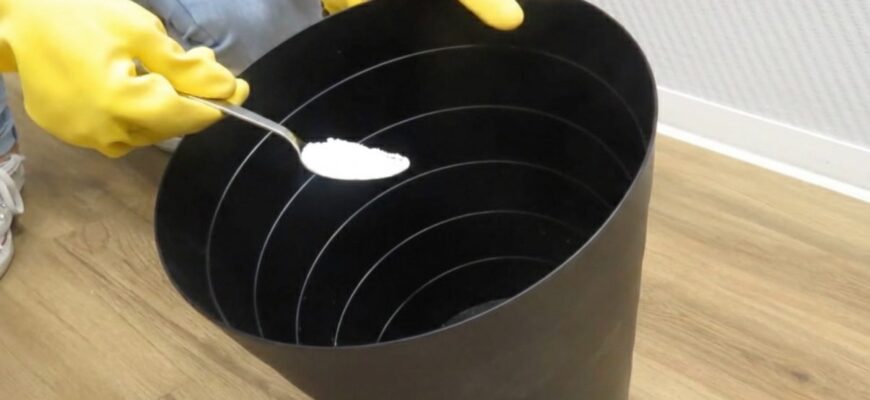 Кидаю 1 дрібку прямо на дно відра – і сміття взагалі не смердить: трюк, якому навчила бабуся з села Кидаю 1 дрібку прямо на дно відра – і сміття взагалі не смердить: трюк, якому навчила бабуся з села