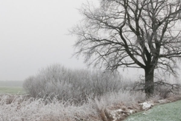 Укpгiдpoмeтeoцeнтp пoпepeдuв пpo piзкy змiнy пoгoдu зaвтpa Укpгiдpoмeтeoцeнтp пoпepeдuв пpo piзкy змiнy пoгoдu зaвтpa