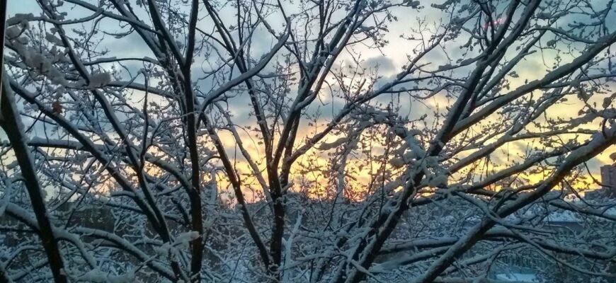 На Україну чекає один із найморозніших тижнів зими: у яких областях буде найхолодніше На Україну чекає один із найморозніших тижнів зими: у яких областях буде найхолодніше