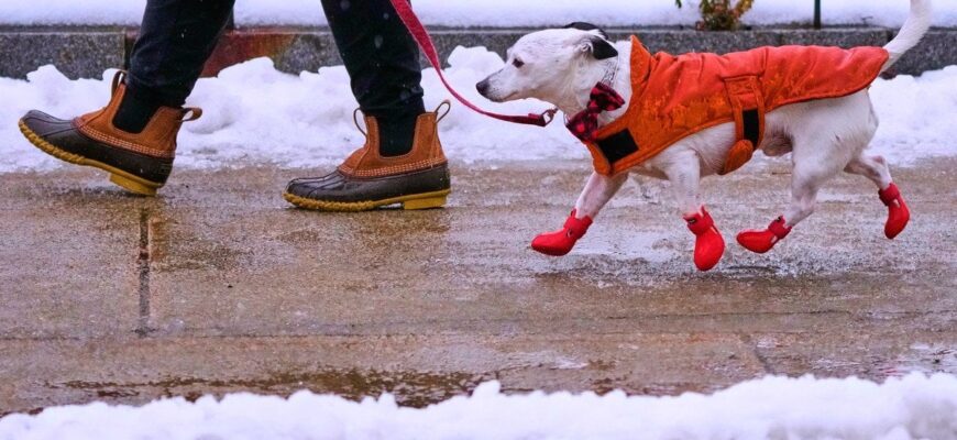 В Україні оголошено червоний рівень небезпеки: де вдарять морози до 30° В Україні оголошено червоний рівень небезпеки: де вдарять морози до 30°