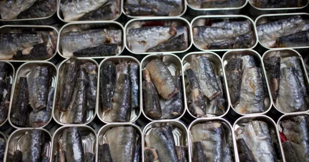 Варто включити в раціон! Ця риба дешевша за лосось і скумбрію, але в рази корисніша та смачніша Варто включити в раціон! Ця риба дешевша за лосось і скумбрію, але в рази корисніша та смачніша