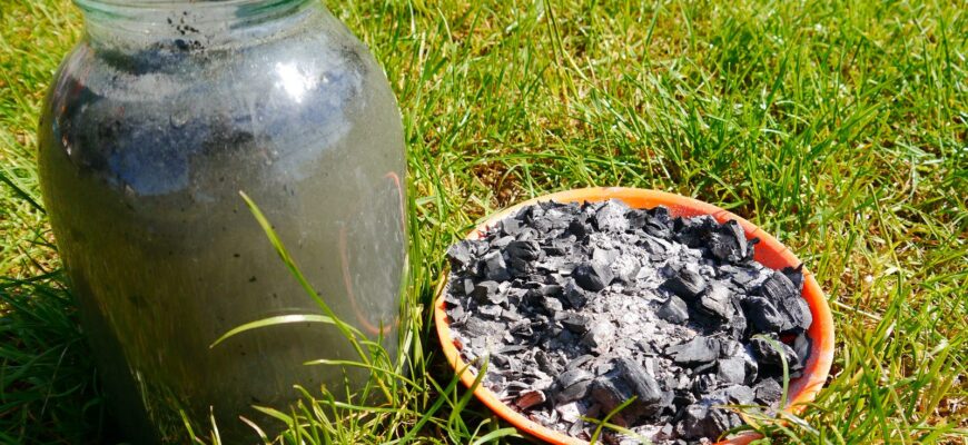 2 способи використання попелу на городі: чи варто просіювати та яку дозу брати на квадратний метр 2 способи використання попелу на городі: чи варто просіювати та яку дозу брати на квадратний метр