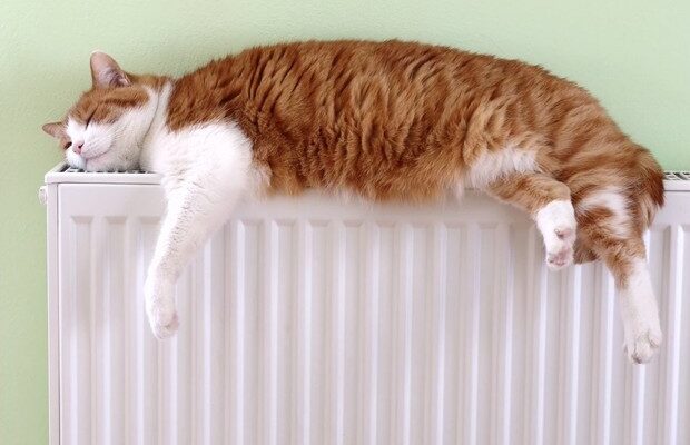 Вимушене рішення: У Києві обмежили гаряче водопостачання заради відновлення тепла в оселях Вимушене рішення: У Києві обмежили гаряче водопостачання заради відновлення тепла в оселях