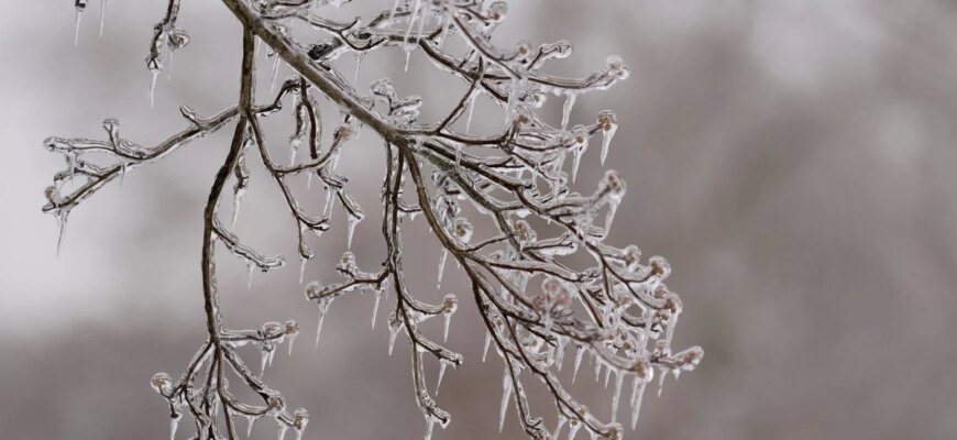 Якою буде погода в Україні у лютому: синоптики дали прогноз Якою буде погода в Україні у лютому: синоптики дали прогноз