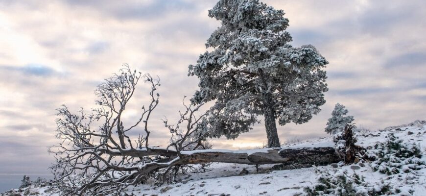 Люті морози в Україні: чи буде третя хвиля похолодання Люті морози в Україні: чи буде третя хвиля похолодання