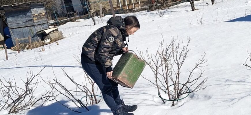 Я за натуральні добрива: які саме можна розкидати по снігу, як правильно та який результат отримаєте навесні Я за натуральні добрива: які саме можна розкидати по снігу, як правильно та який результат отримаєте навесні