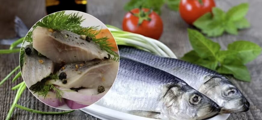 Чим відрізняється «Матіас» від оселедця: мало хто знає ці секрети Чим відрізняється «Матіас» від оселедця: мало хто знає ці секрети