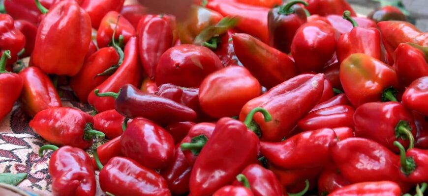 Перець росте як навіжений: секрет 1 сорту, що дає багато плодів навіть у лютневі морози Перець росте як навіжений: секрет 1 сорту, що дає багато плодів навіть у лютневі морози