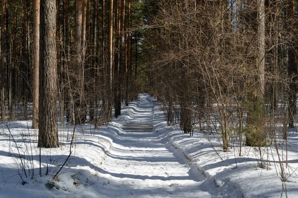 Народні прикмети 10 лютого / © pexels.com