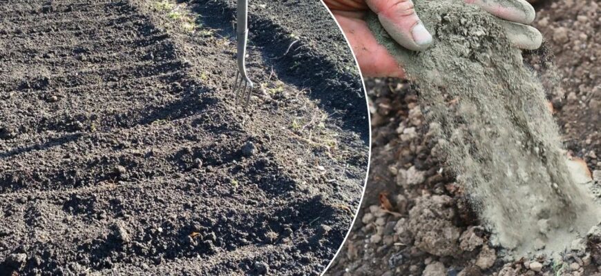 Попіл із печі не викидаю – це “чорне золото”: 3 способи використання в саду і на городі Попіл із печі не викидаю – це “чорне золото”: 3 способи використання в саду і на городі