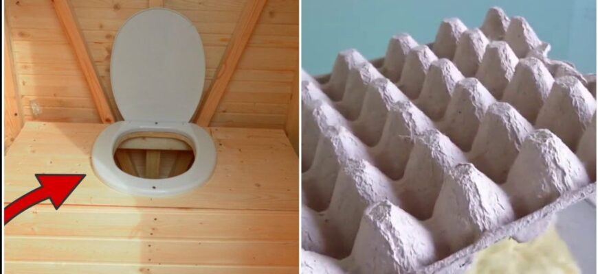 Паперові лотки від яєць змочую оцтом: 2 хвилини, і я назавжди забула про неприємний запах у дачному туалеті Паперові лотки від яєць змочую оцтом: 2 хвилини, і я назавжди забула про неприємний запах у дачному туалеті